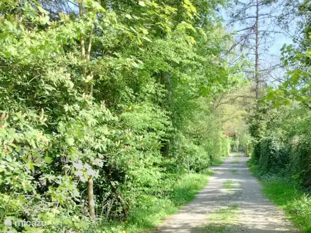 Doodlopend toegangspad naar de vakantiehuisjes